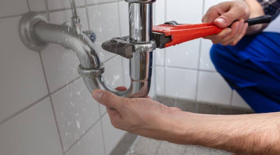 Professional Leak Detection in Omena, MI